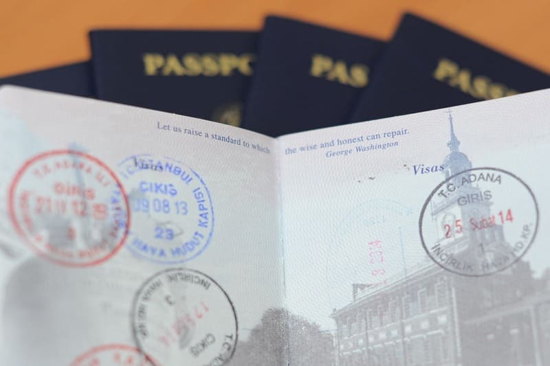 Transfer NZ visa to a new passport